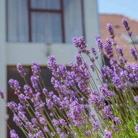 Marika Apartment Szántód
