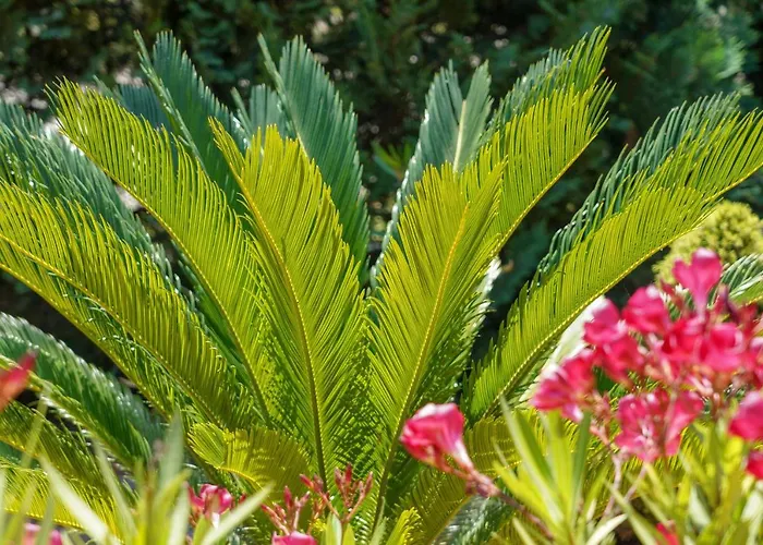 Apartamento Marika *