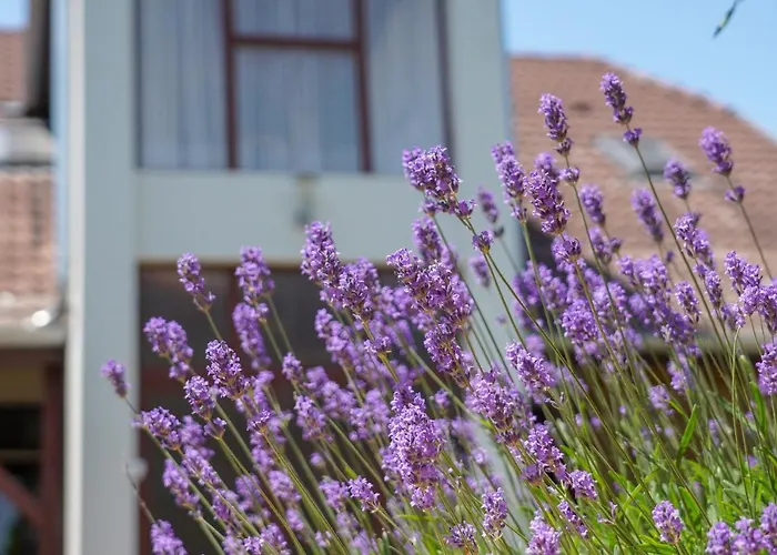 Marika Apartamento Szántód